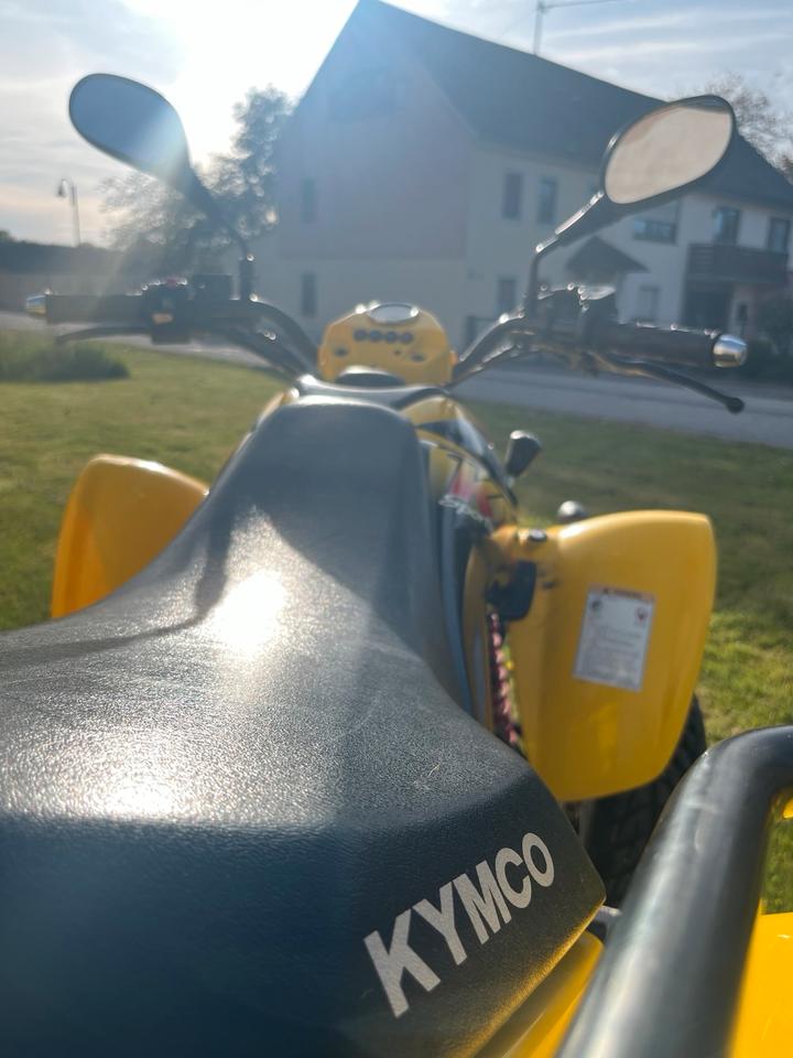 Kymco Quad Kymco KXR 250 Sport | TÜV bis Juni 2028 | Werkstattgepflegt 2005 — engine 250 ccm