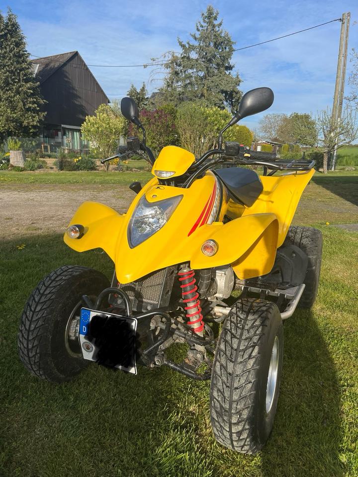 Kymco Quad Kymco KXR 250 Sport | TÜV bis Juni 2028 | Werkstattgepflegt 2005 — photo 6