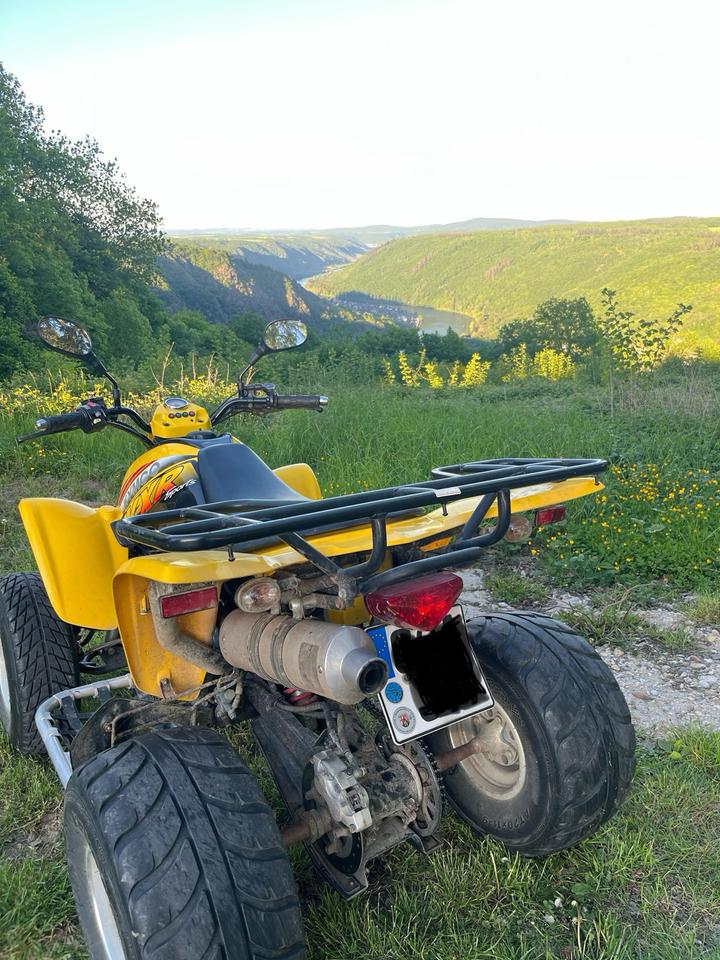Kymco Quad Kymco KXR 250 Sport | TÜV bis Juni 2028 | Werkstattgepflegt 2005 — photo 7