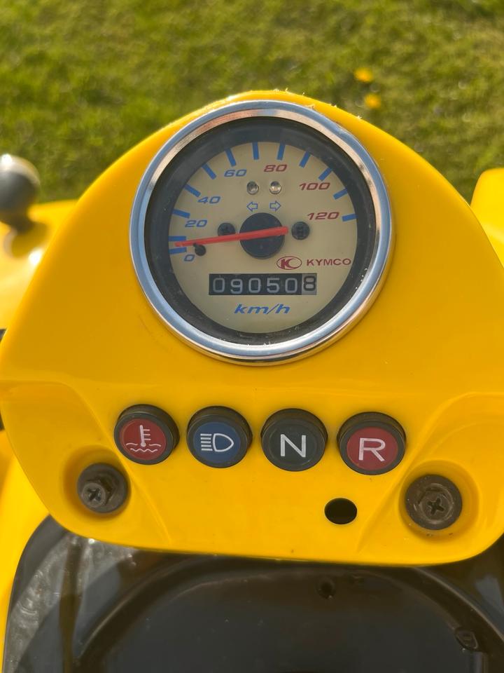 Kymco Quad Kymco KXR 250 Sport | TÜV bis Juni 2028 | Werkstattgepflegt 2005 — photo 8
