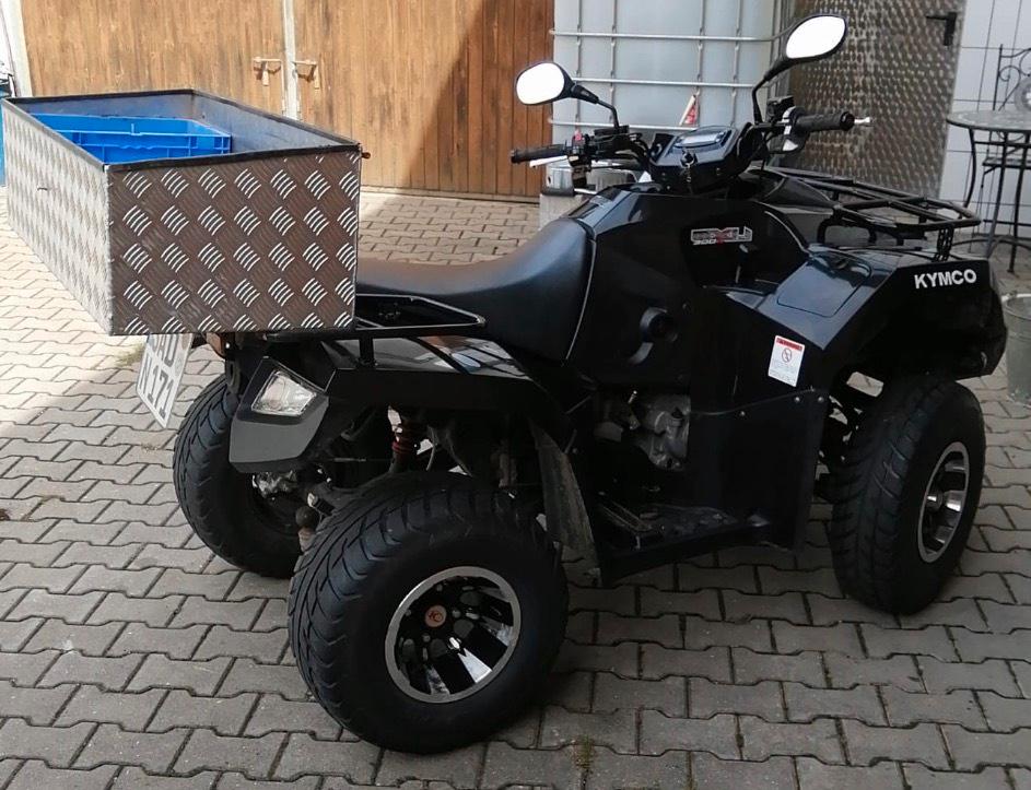 Kymco Quad Kymco MXU 300R ATV 2011 — photo 5