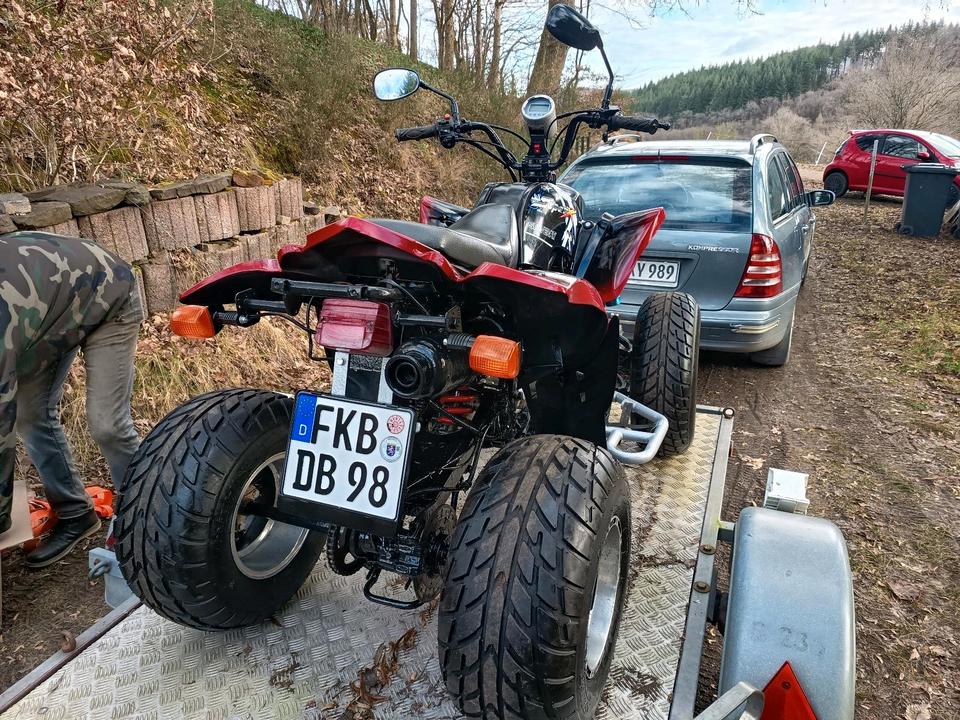 Weitere Motorräder Gelöscht • Quad Shinerey 250 ccm 2010 — rear view