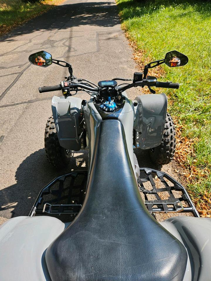 Suzuki ltz 400 mit LOF 2007 — photo 7