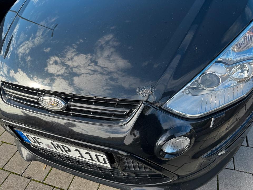 Ford S-Max 2010 — rear view