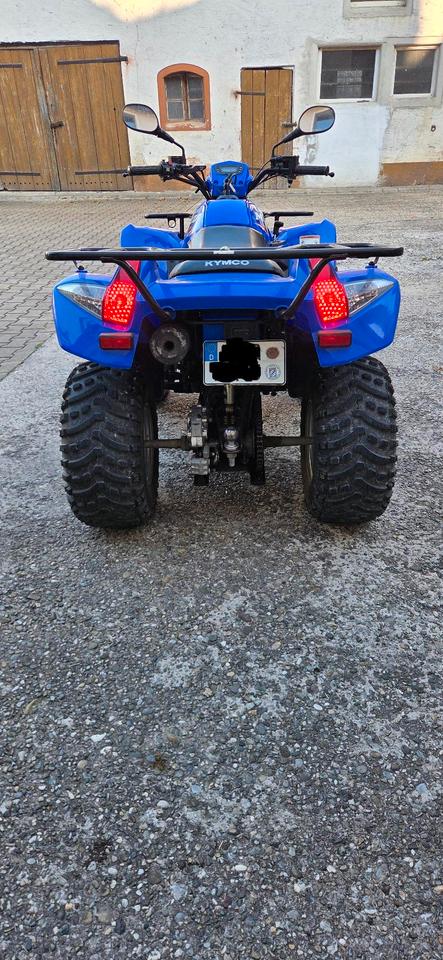 Kymco Quad 2008 — rear view