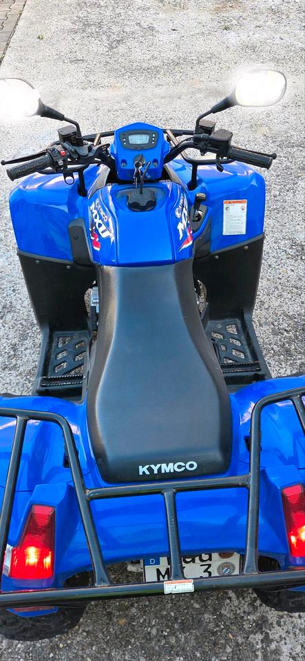 Kymco Quad 2008 — interior