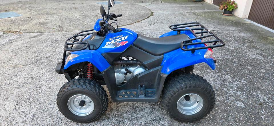 Kymco Quad 2008 — photo 5
