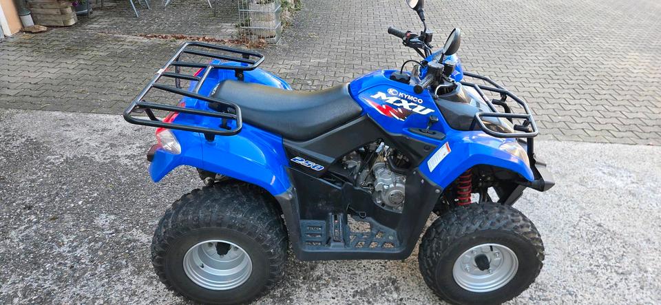 Kymco Quad 2008 — photo 6