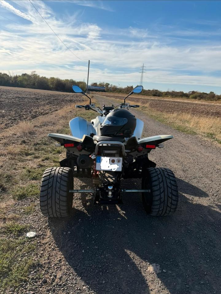 Weitere Motorräder Access 430 Automatik Quad 2014 — салон