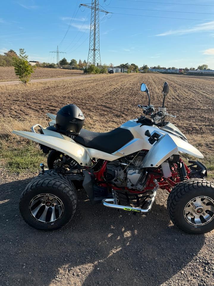 Weitere Motorräder Access 430 Automatik Quad 2014 — двигун 359 ccm