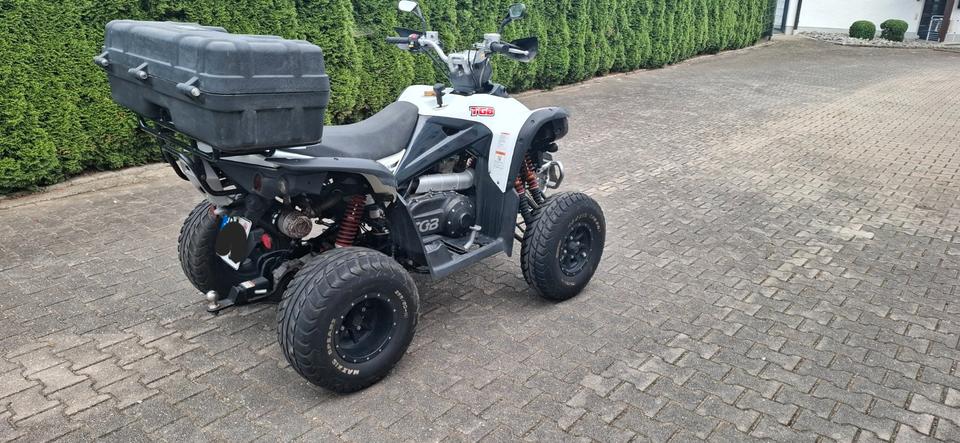  Quad TGB 525 Target 2009 — двигун 500 ccm