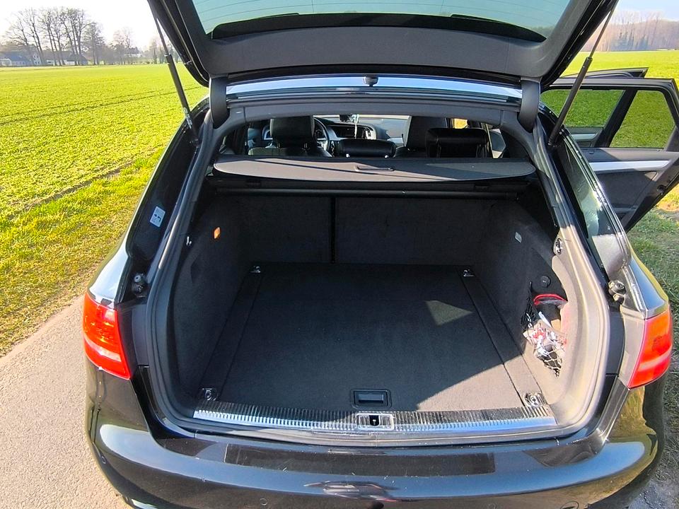 Audi A4 2009 — вигляд ззаду