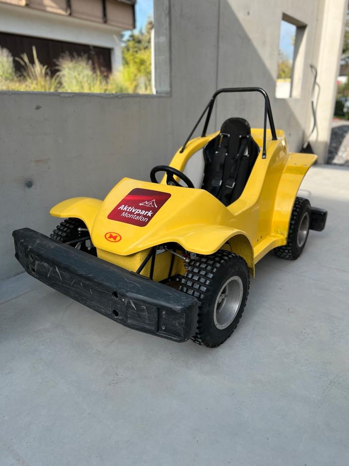 Gelöscht • Havel Buggy Quad Auto Kinderbuggy Honda Strand Buggy Offroad 2005 — авто для ЗСУ з Європи