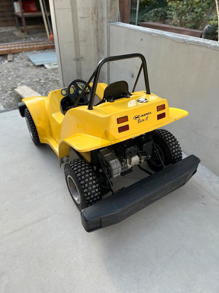  Gelöscht • Havel Buggy Quad Auto Kinderbuggy Honda Strand Buggy Offroad 2005 — салон