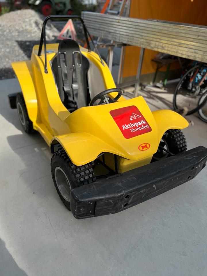  Gelöscht • Havel Buggy Quad Auto Kinderbuggy Honda Strand Buggy Offroad 2005 — фото 5