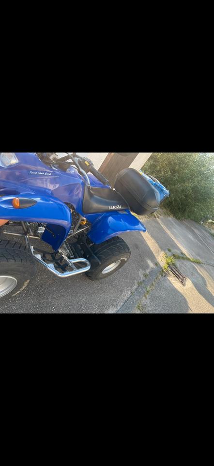 Weitere Motorräder Quad Barossa 2004 — салон