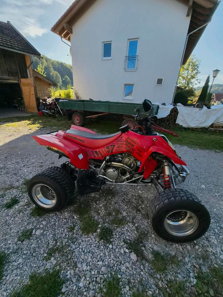 Weitere Motorräder Gelöscht • Hyosung TE 450 Sport Quad 2011 — rear view