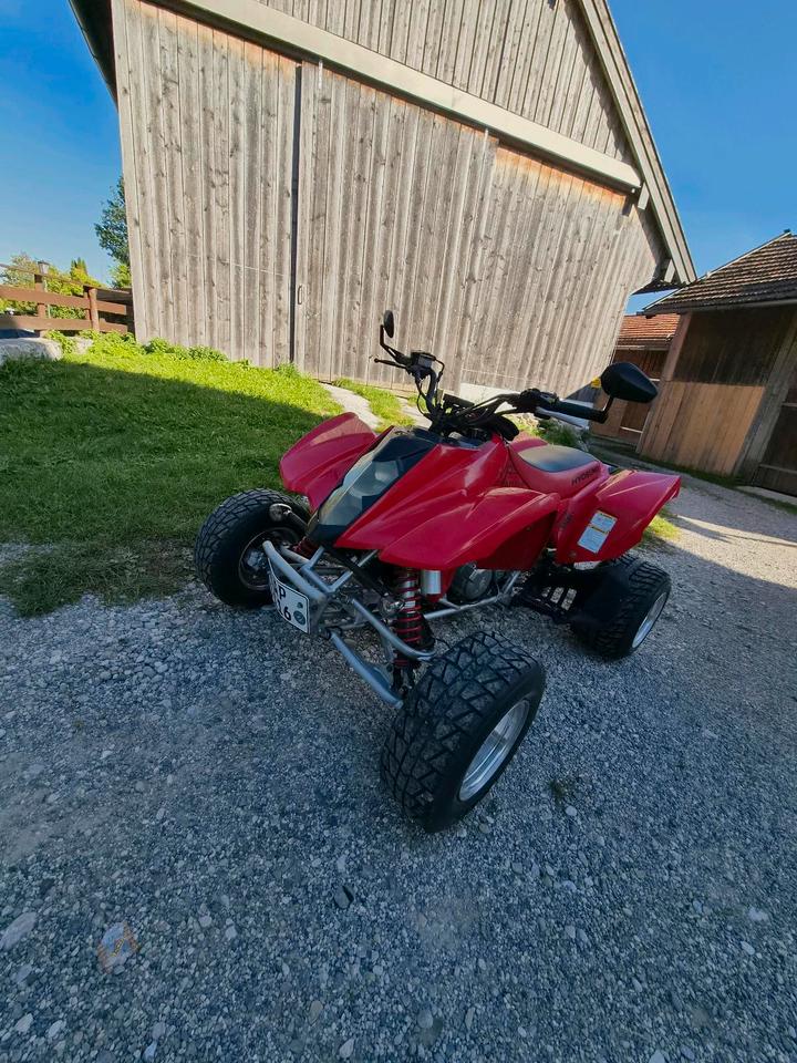 Weitere Motorräder Gelöscht • Hyosung TE 450 Sport Quad 2011 — engine 450 ccm