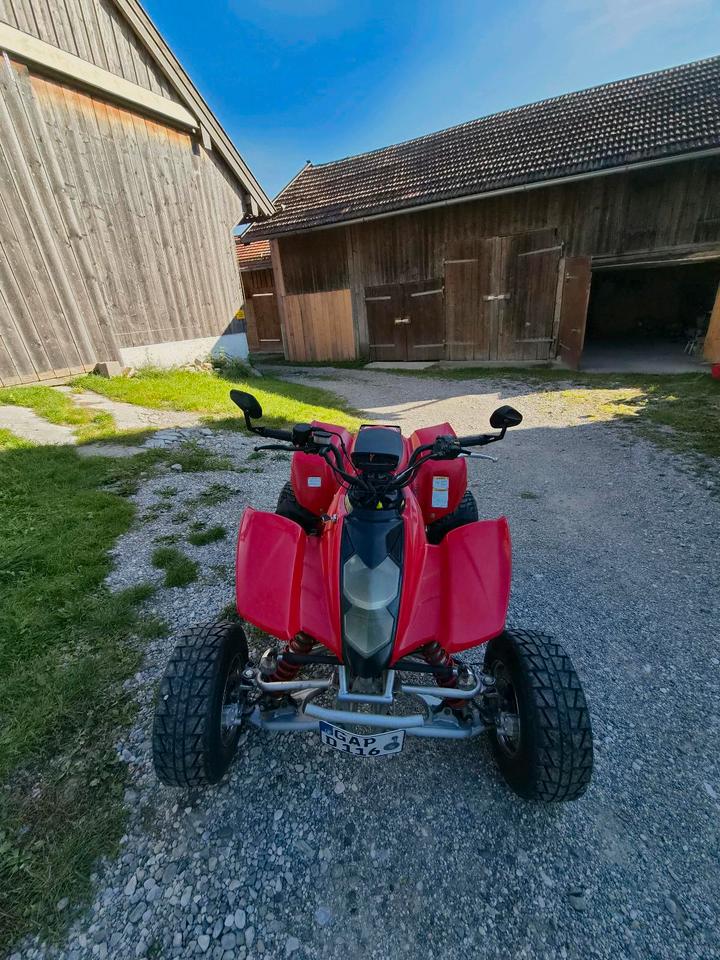 Weitere Motorräder Gelöscht • Hyosung TE 450 Sport Quad 2011 — photo 7