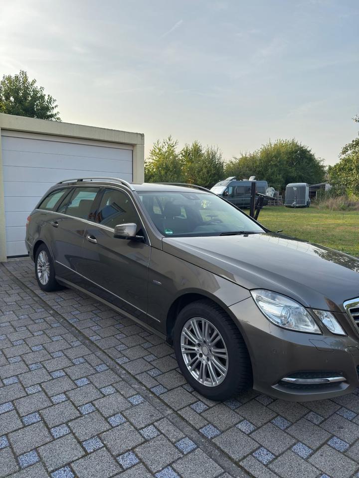Mercedes Benz 300 2010 — rear view