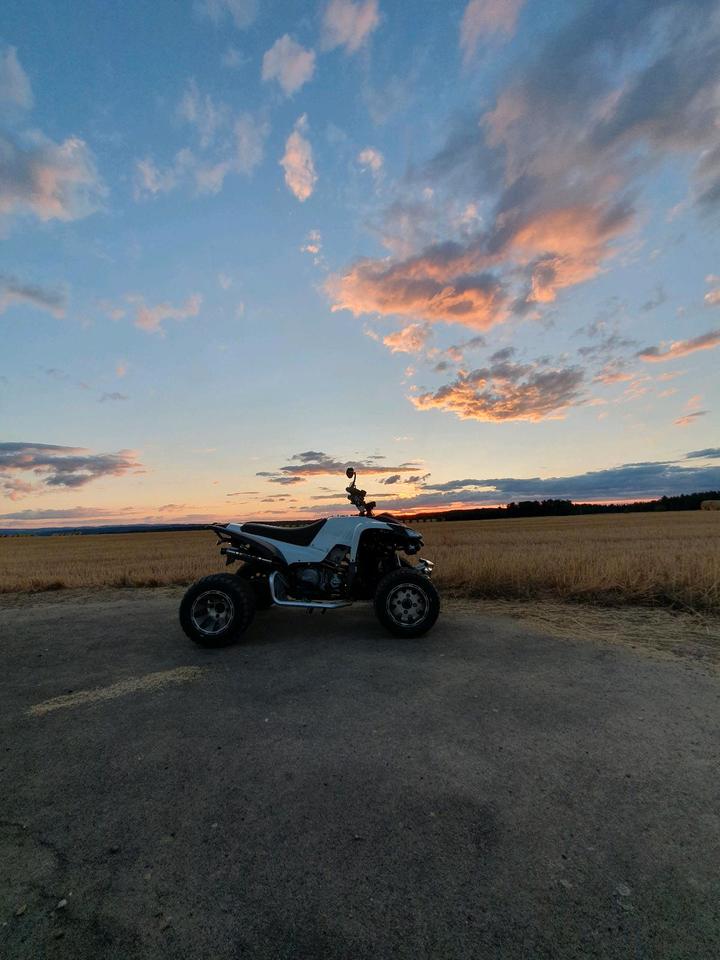 Weitere Motorräder Beeline Bestia 5.5 2012 — engine 500 ccm