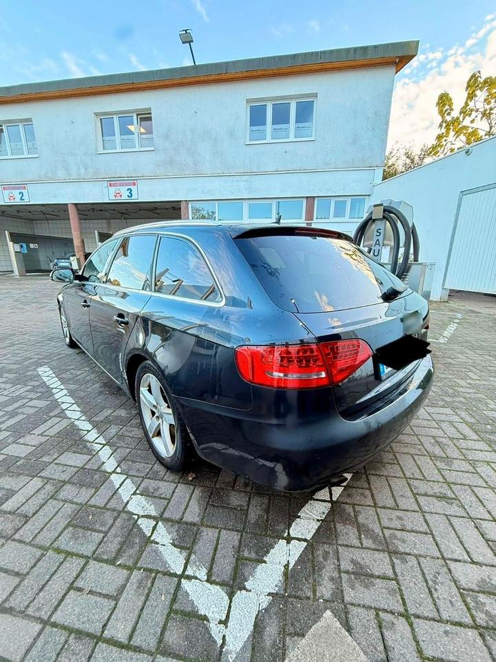 Audi A4 2009 — вигляд ззаду