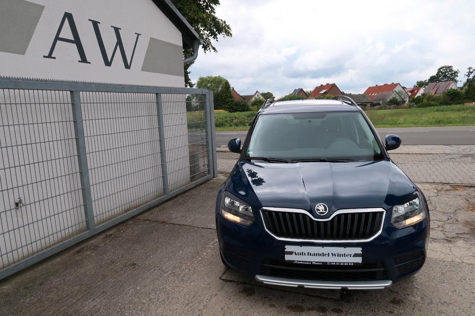 Skoda Yeti 2015 — вигляд ззаду