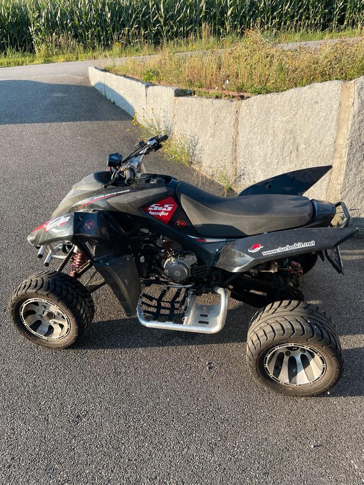  Quad, Beeline Bestia 2013 — rear view