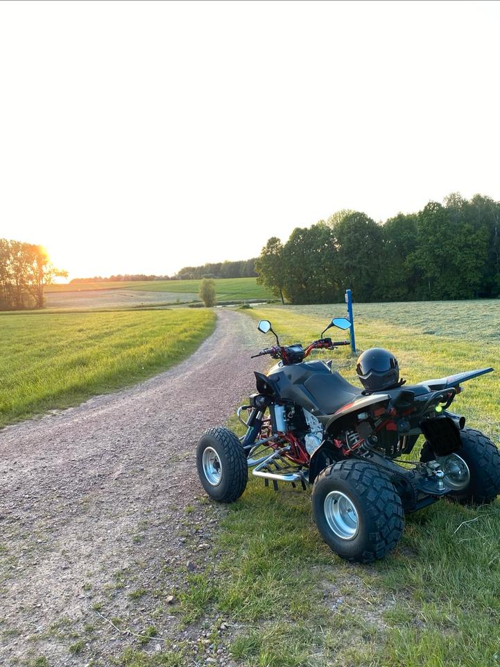  Triton Reactor 450 R | LOF | TÜV neu | 35 PS | 450 ccm 2013 — engine 450 ccm