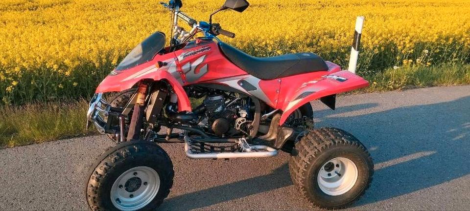 Yamaha HP WILD 300 RV GAS GAS 2T 60 PS GasGas Quad. Tausch möglich 2005 — rear view