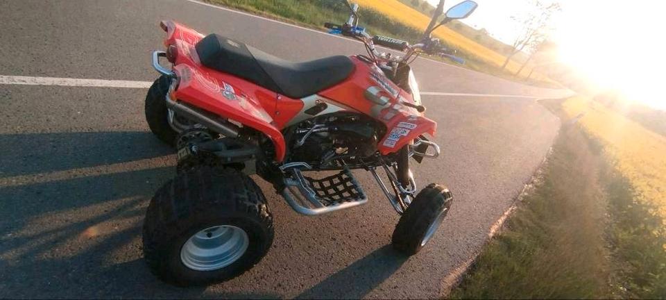 Yamaha HP WILD 300 RV GAS GAS 2T 60 PS GasGas Quad. Tausch möglich 2005 — photo 6