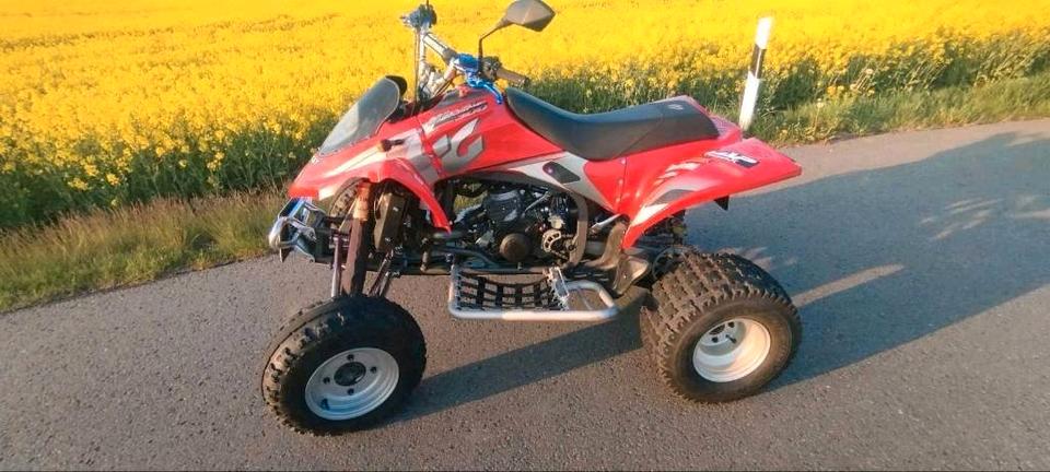 Yamaha HP WILD 300 RV GAS GAS 2T 60 PS GasGas Quad. Tausch möglich 2005 — photo 7