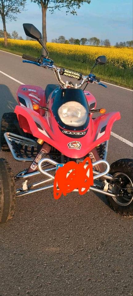 Yamaha HP WILD 300 RV GAS GAS 2T 60 PS GasGas Quad. Tausch möglich 2005 — photo 8