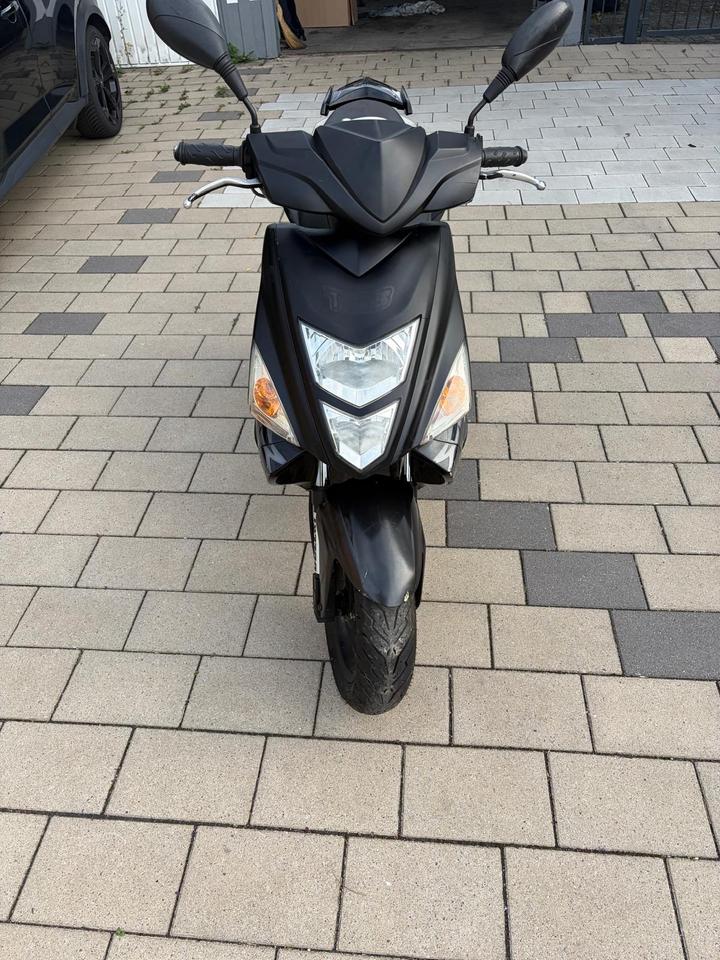  Gelöscht • Tgb 25/50ccm 2010 — салон