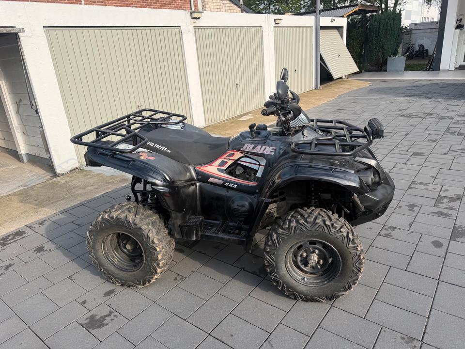  Gelöscht • Quad TGB Blade 550 Allrad 4x4 LOF Seilwinde 2010 — photo 7