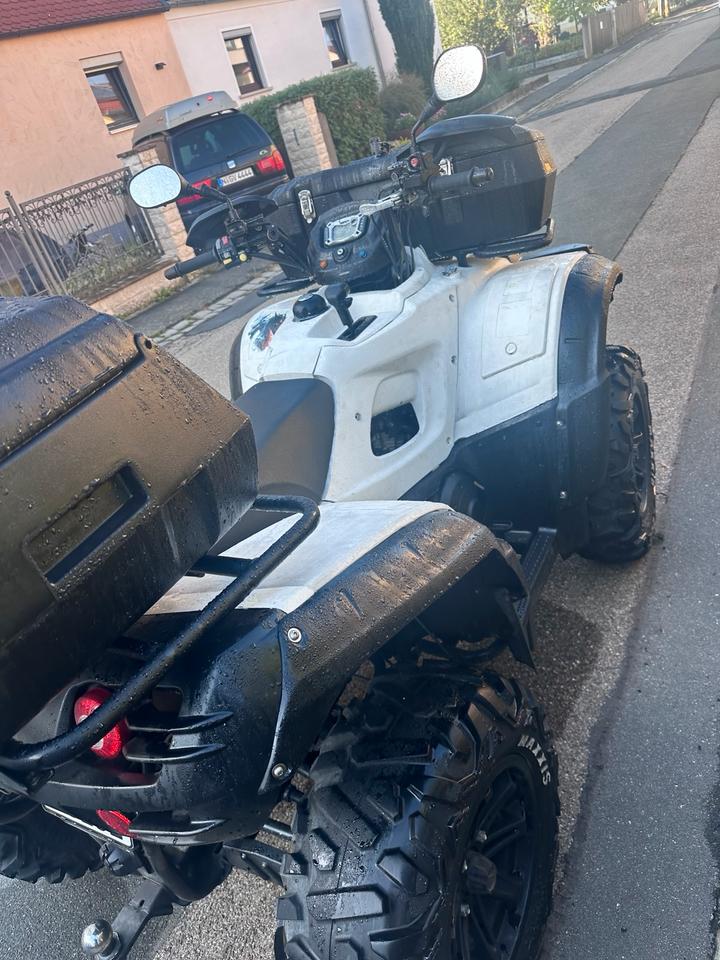  TGB Blade 550 EFI 4X4 LOF Quad. 2014 — rear view