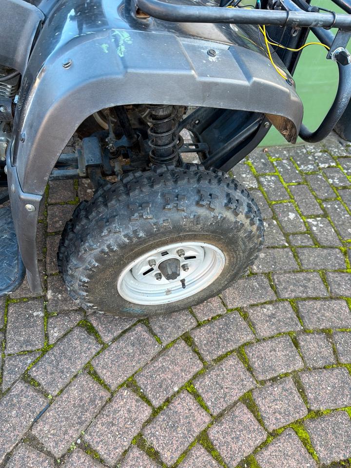 Weitere Motorräder Loncin LS2 Quad ATV Desert Storm 250 4x2 2007 — фото 7