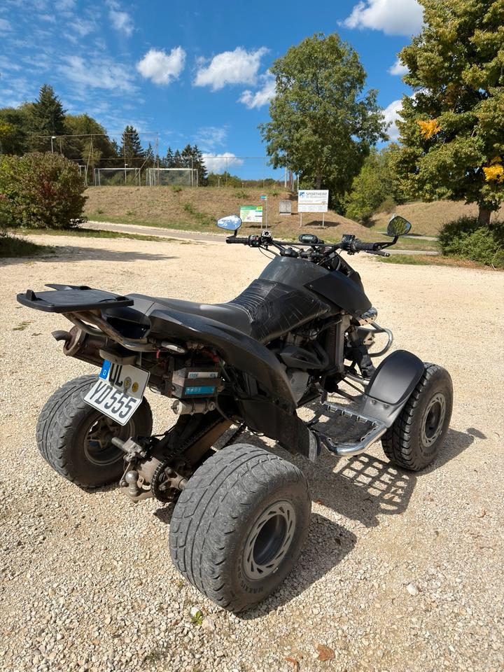 Weitere Motorräder Bombardier ds650 quad 2004 — engine 650 ccm