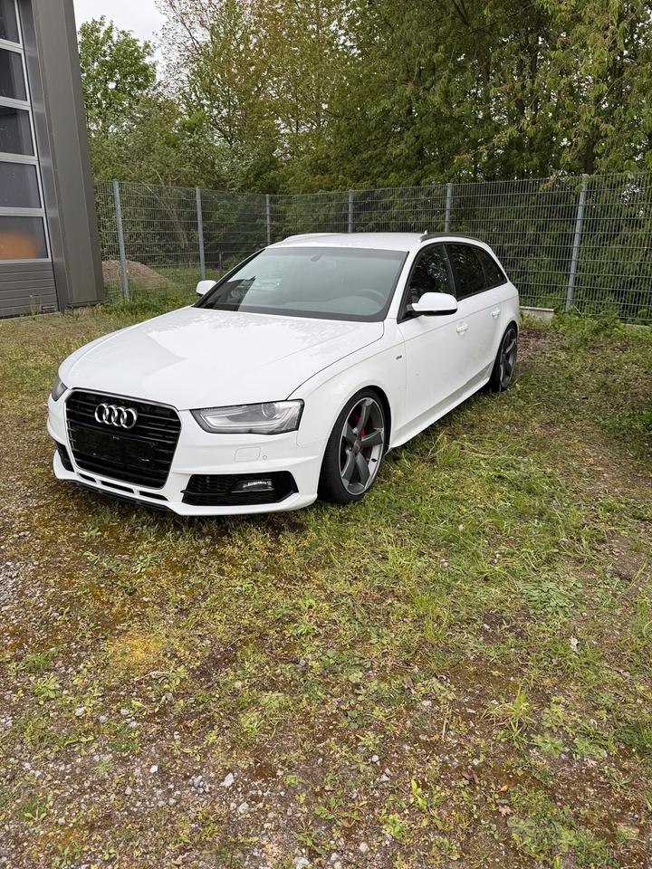 Audi A4 2013 — вигляд ззаду