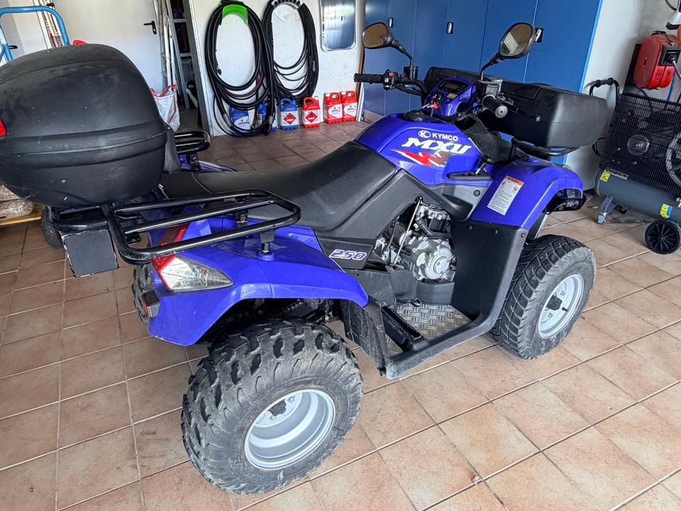 Kymco Quad Kymco MXU 2005 — vehicle for AFU Ukraine