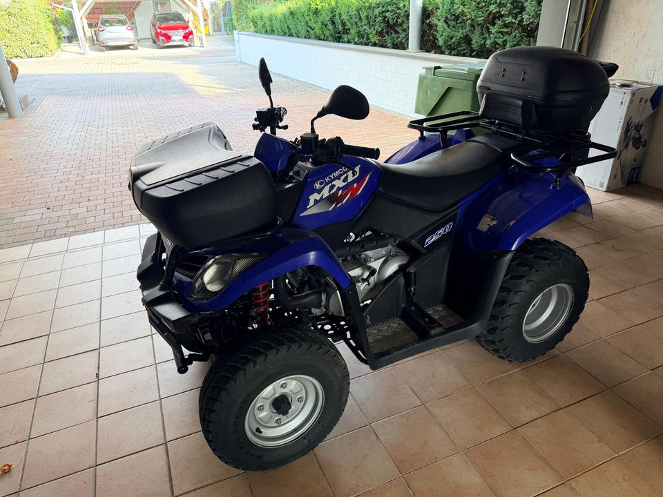 Kymco Quad Kymco MXU 2005 — engine 250 ccm