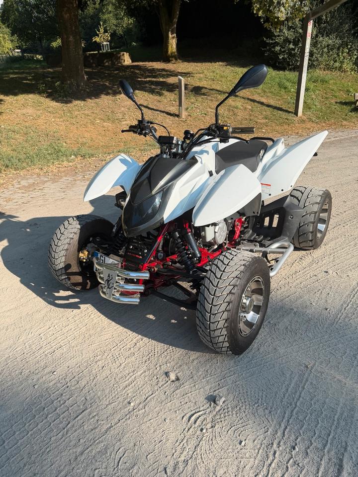  Triton 450 / LOF-Zulassung 2012 — салон