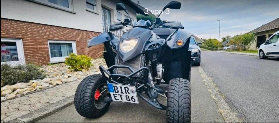 Weitere Motorräder Quad Adly 320 S 2015 — rear view
