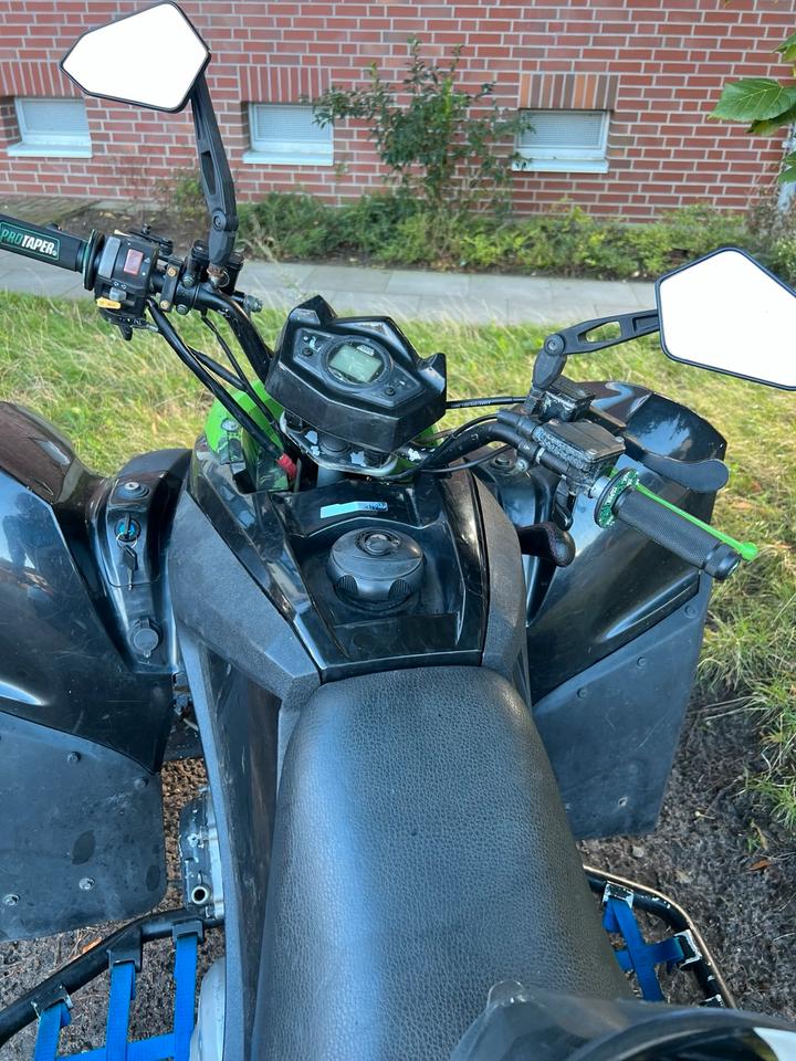  Adly Hurricane 320 ATV TOP 2009 — engine