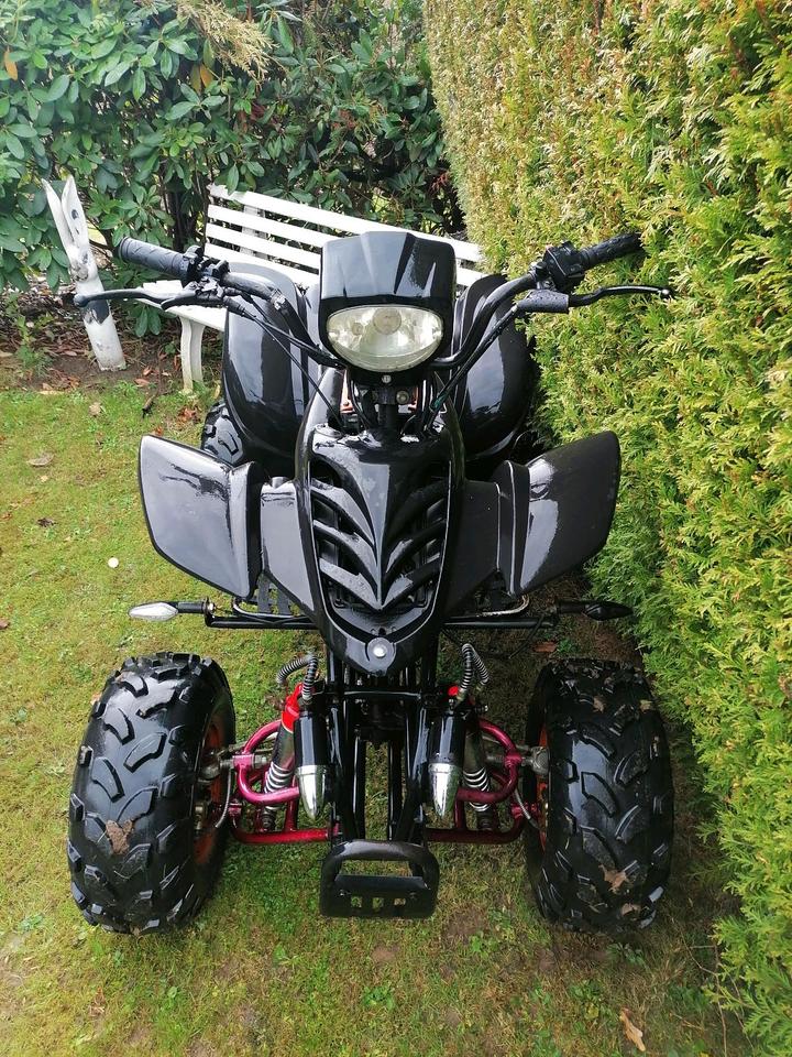 Weitere Motorräder Quad Shineray 200st 11 2007 — rear view
