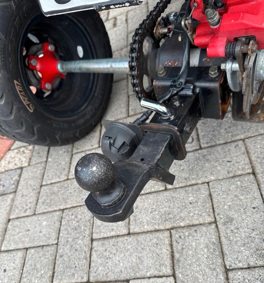 Weitere Motorräder Quad Beeline Bestia 2012 — photo 11