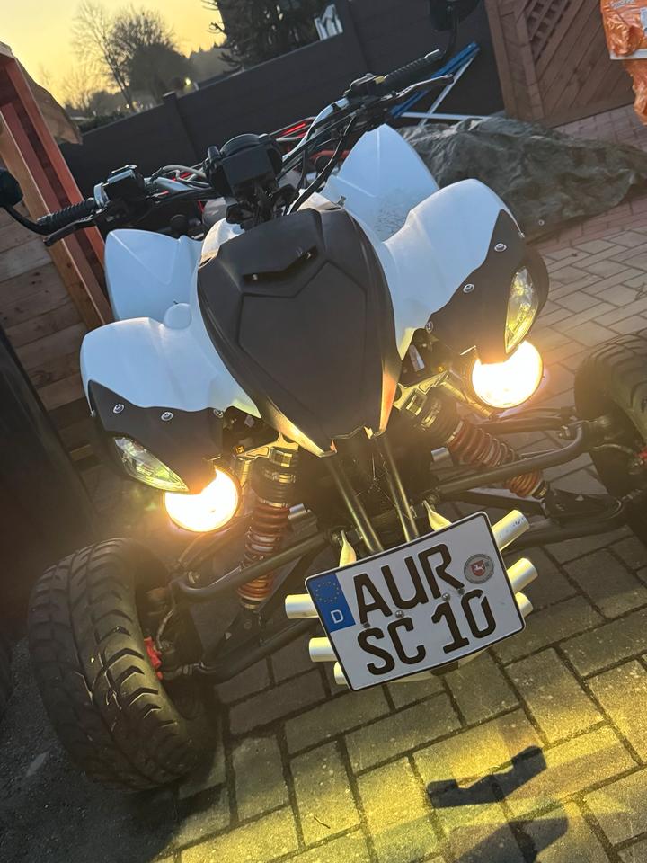Weitere Motorräder Quad Beeline Bestia 2012 — rear view