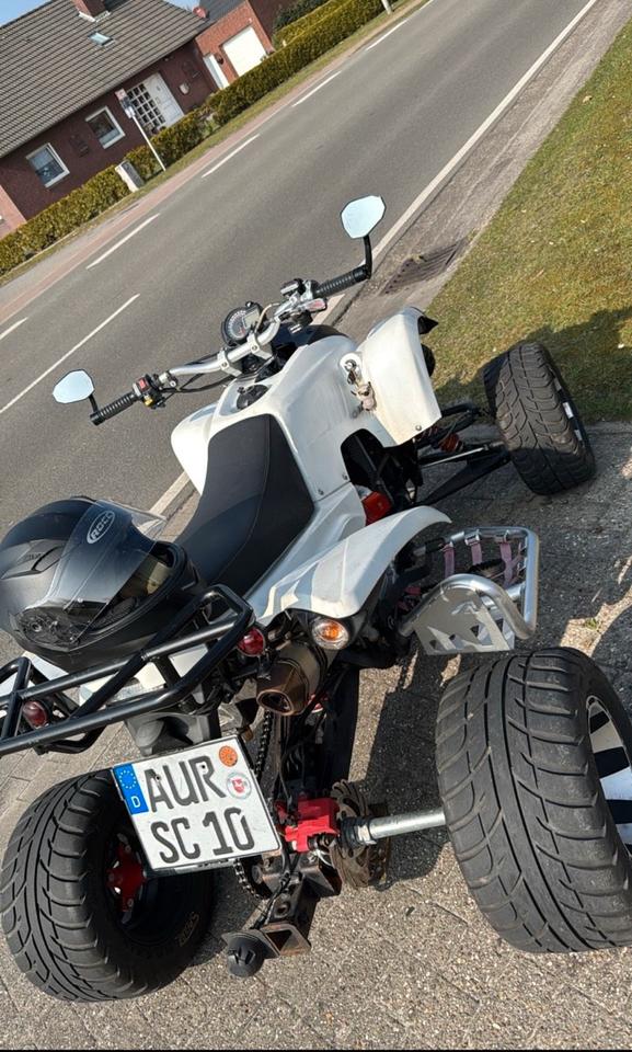 Weitere Motorräder Quad Beeline Bestia 2012 — photo 6