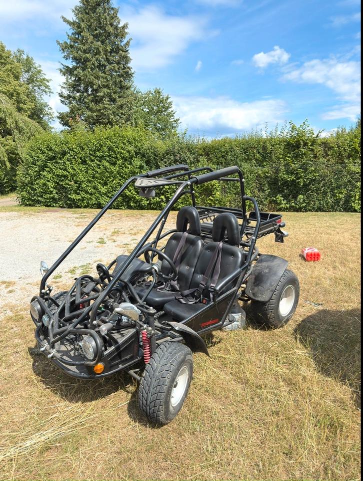  Straßenbuggy Kasea 2007 — rear view