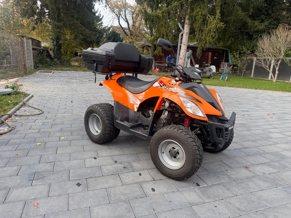  Quad Dealim ET 250 AUTOMATIK Lieferung möglich 2008 — vehicle for AFU Ukraine